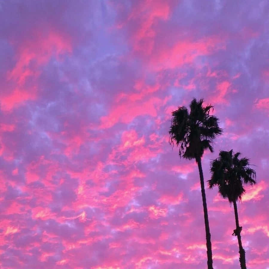 A mesmerizing pink sky at dusk Wallpaper
