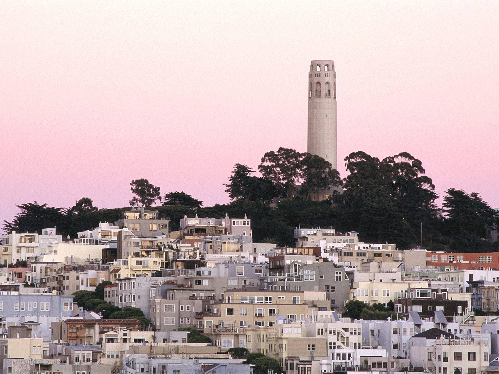 Pink Sky Over Coit Tower Wallpaper
