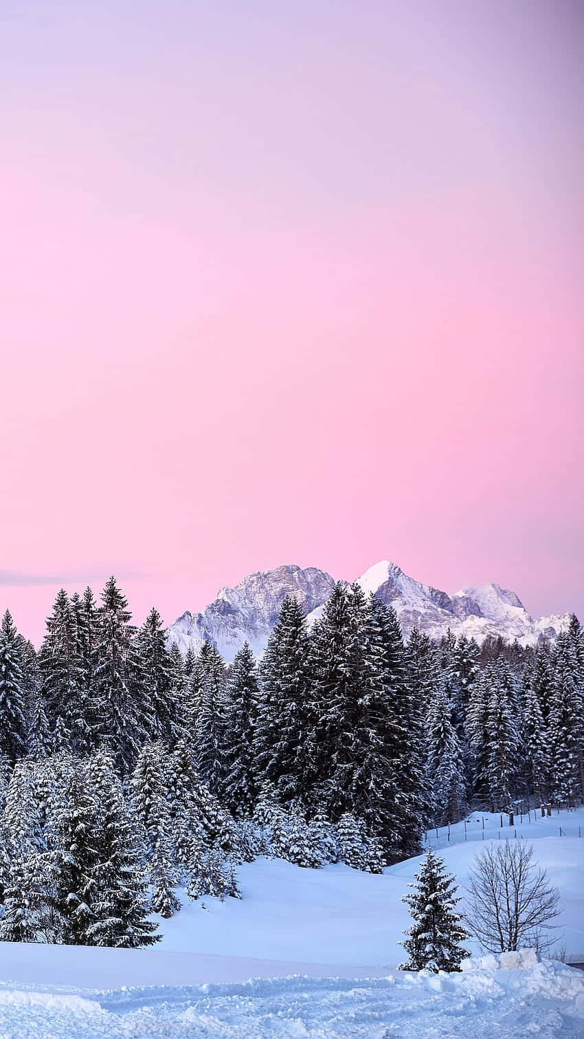 Roze Lucht Winter Berglandschap Achtergrond