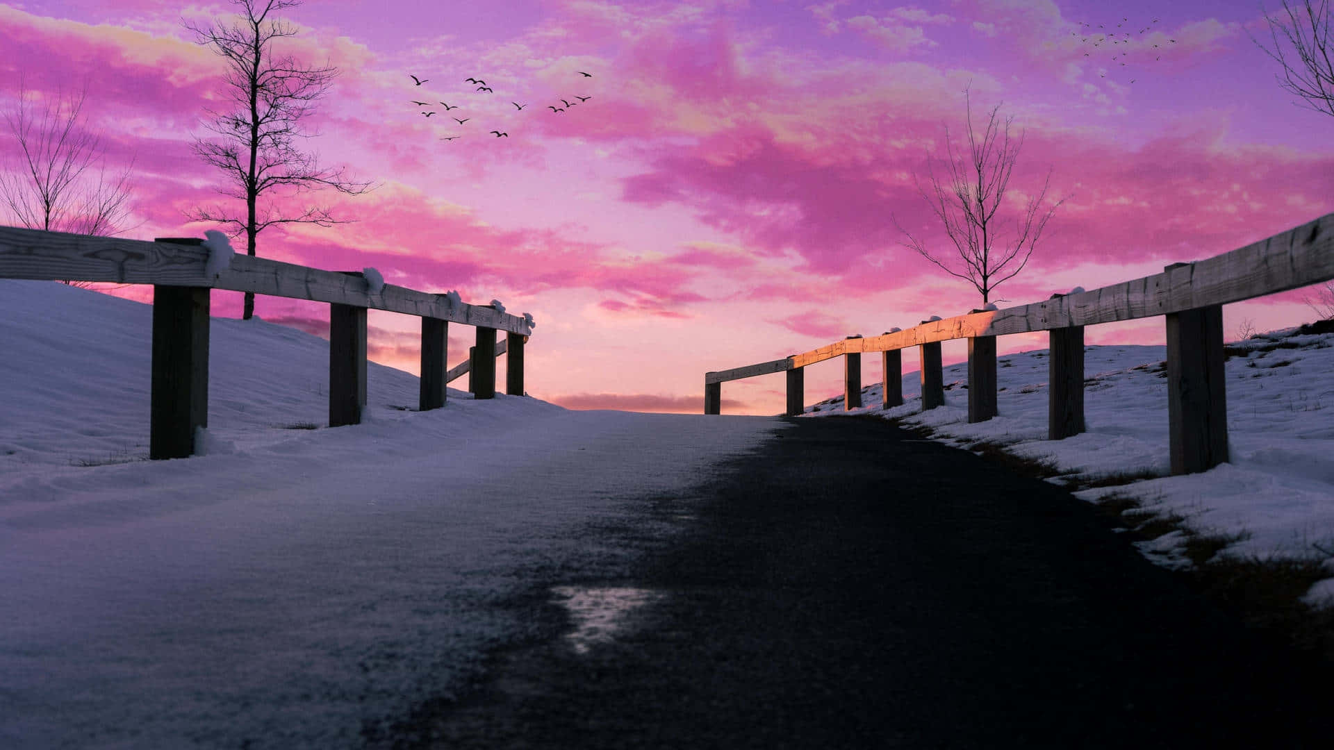 Pink Sky Winter Path Wallpaper