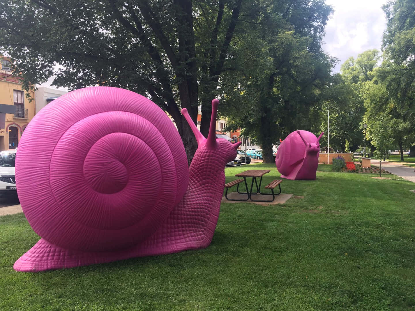 A Vibrant Pink Snail in Nature Wallpaper