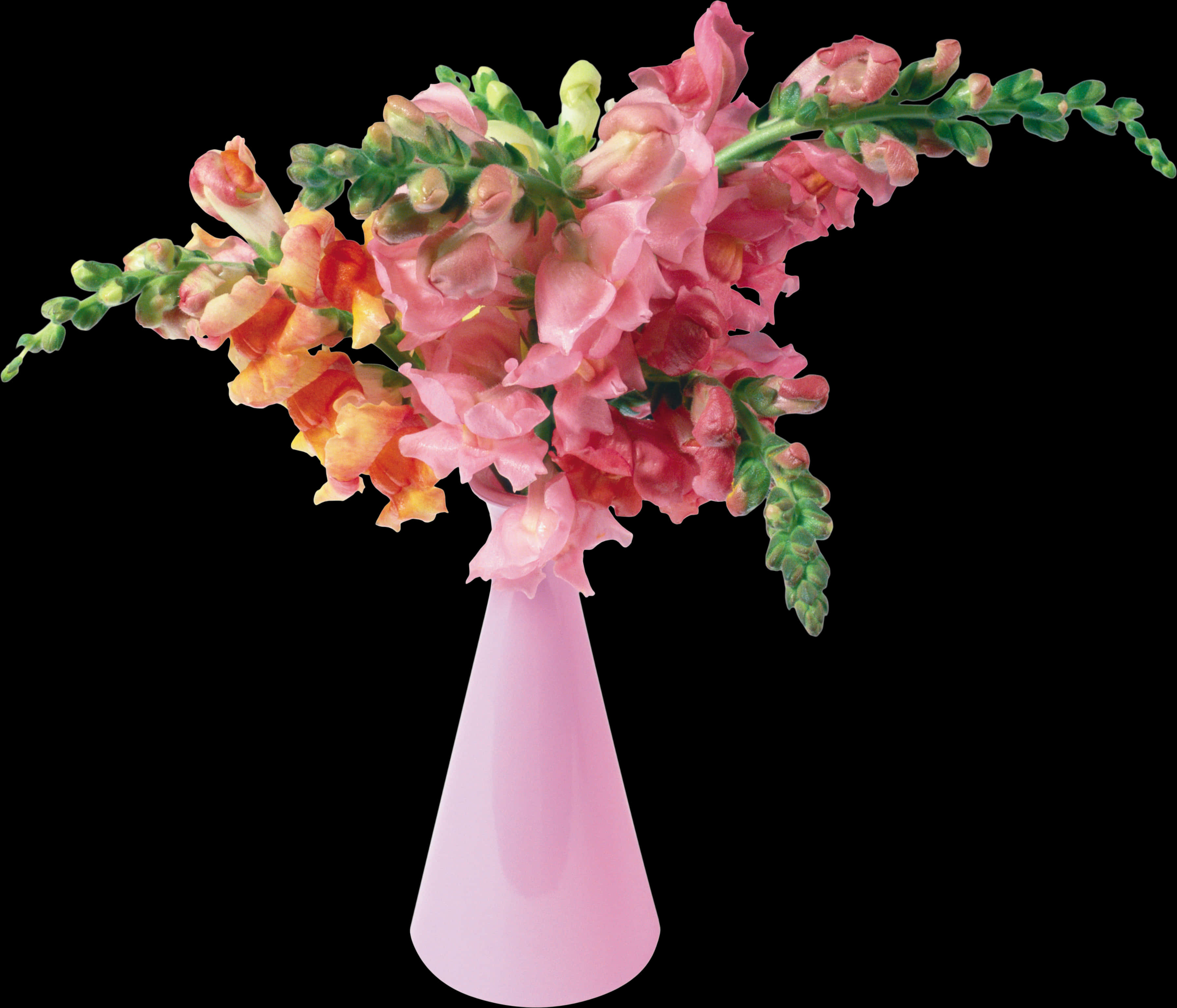 Pink Snapdragon Bouquetin Vase PNG