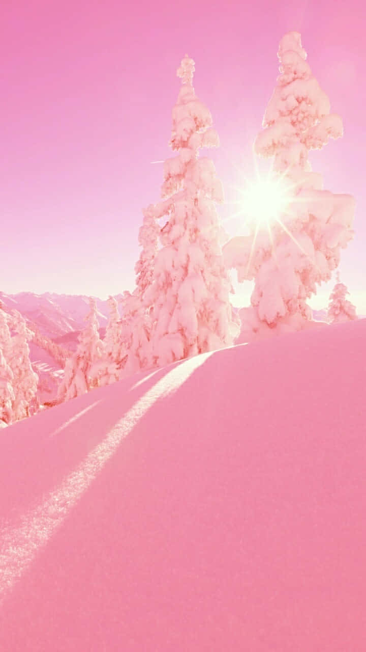 Pink Snowy Winter Sunrise Wallpaper