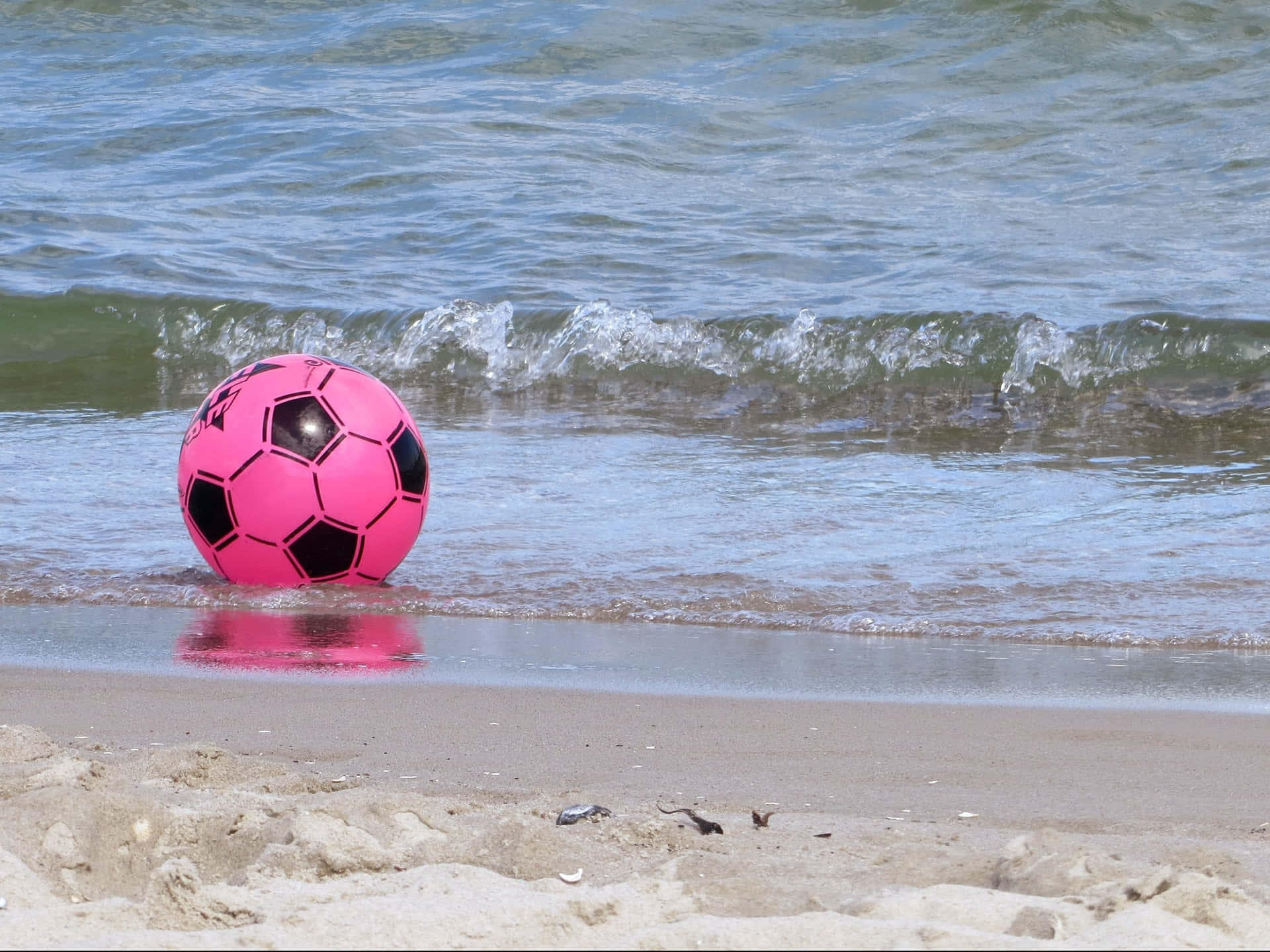 #A Vibrant Pink Soccer Ball Wallpaper