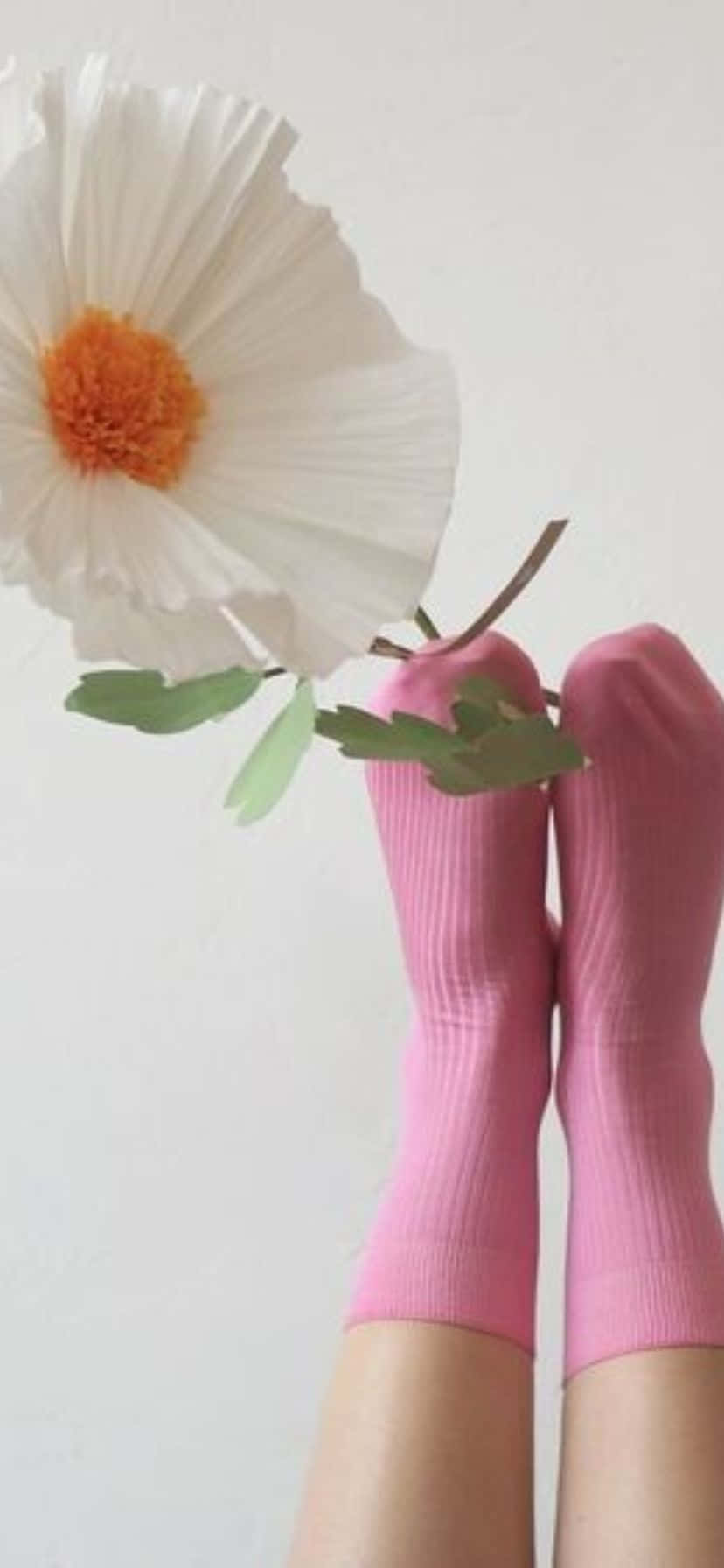 Pink Socks Flower Balance Wallpaper