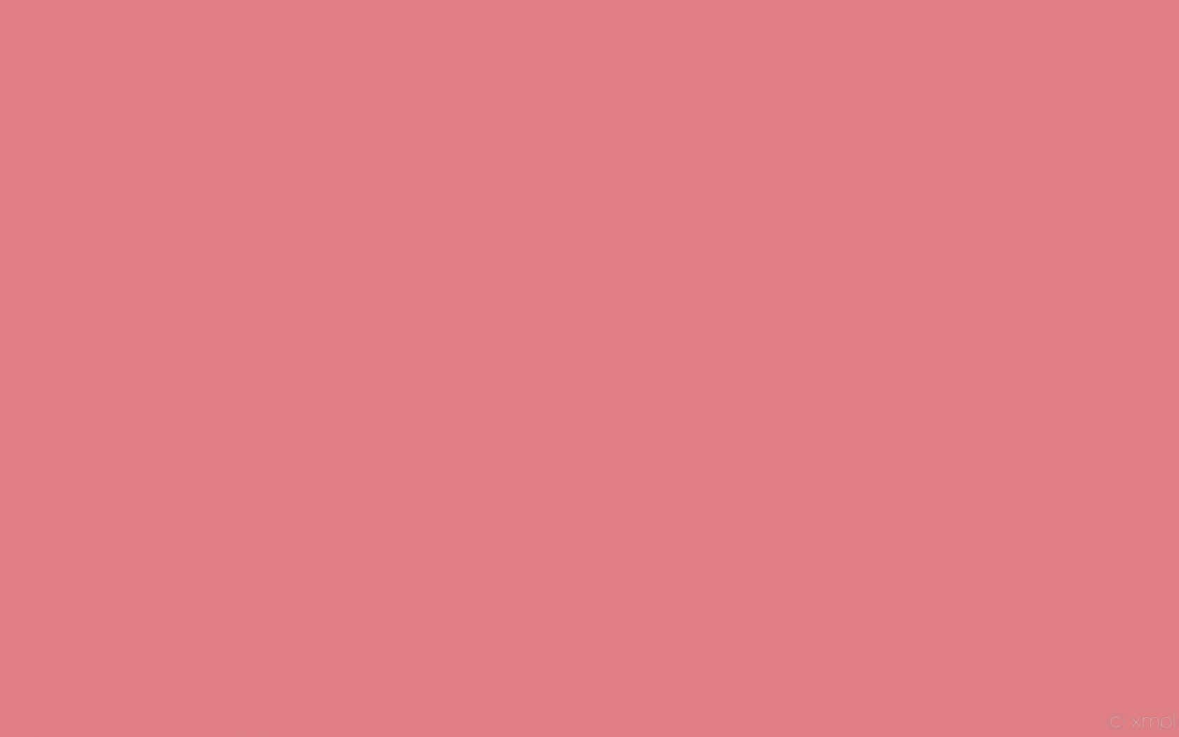 A Bright, Beautiful Pink Solid Background
