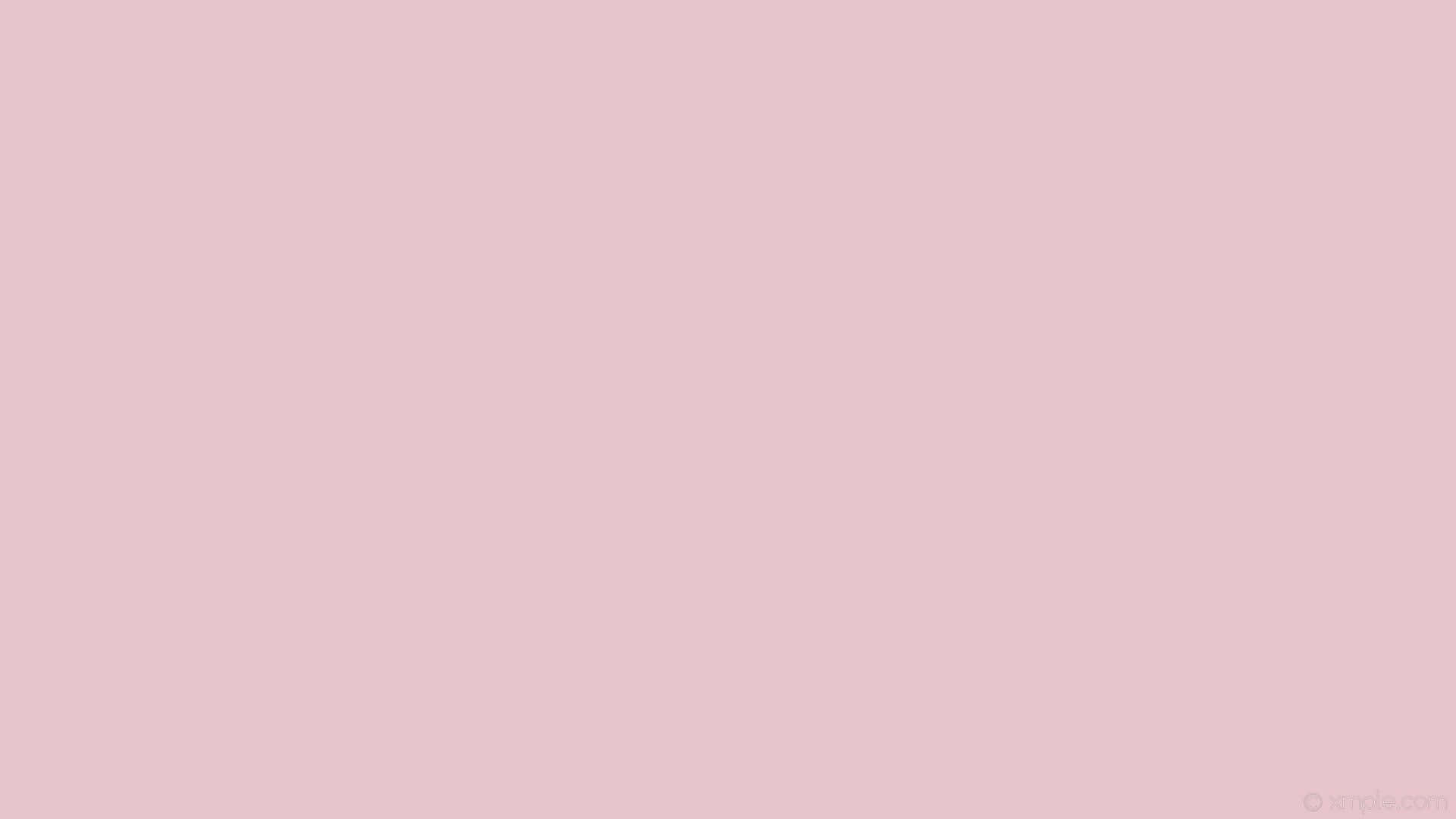Nude Pastel Pink Solid Color Wallpaper