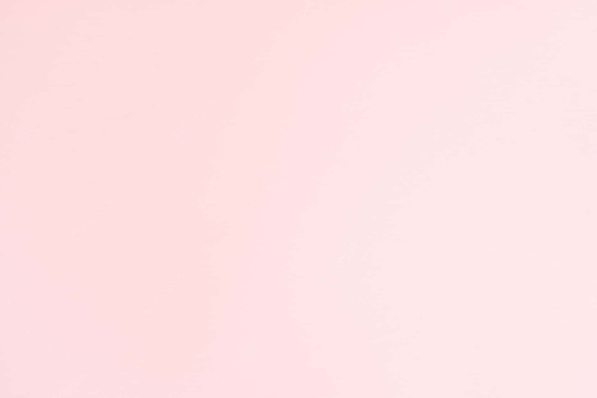 Solid color one colour single plain pink 2152x1536 wallpaper 4K HD