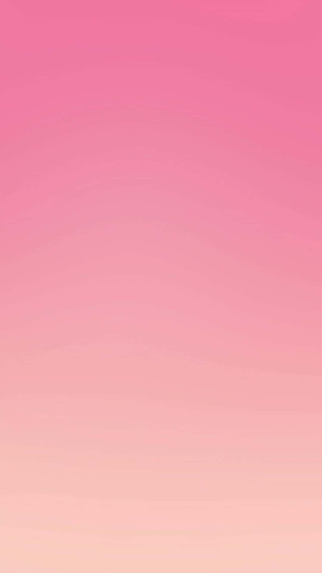 Fettund Wunderschön In Pink Wallpaper