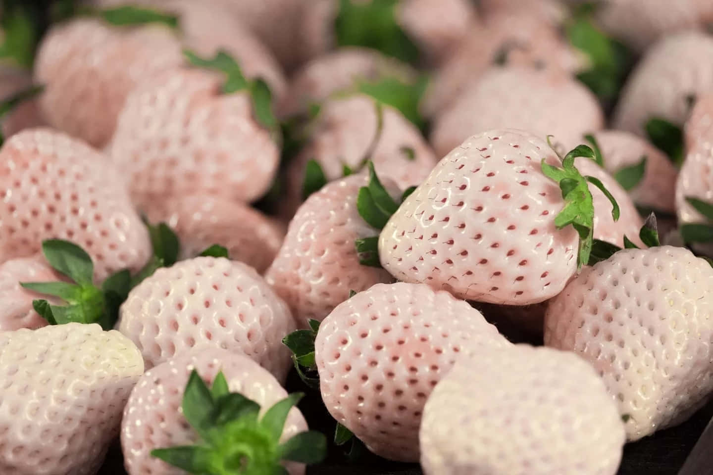 Pink Strawberry Selection Wallpaper