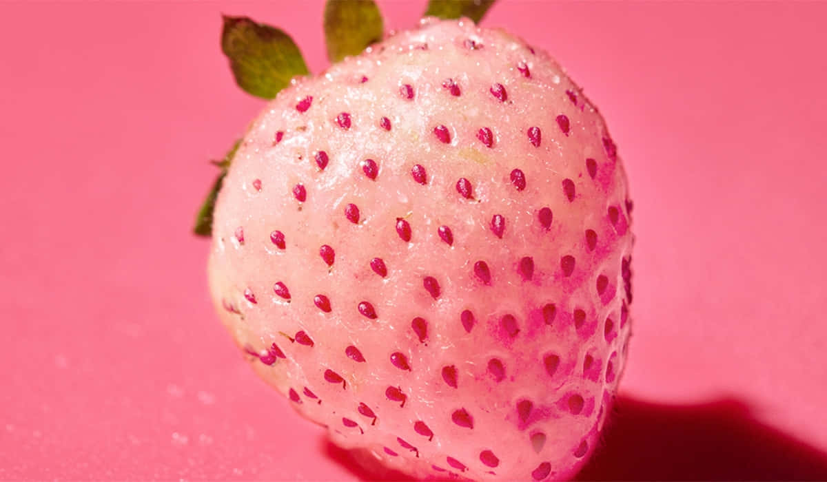 Pink Strawberryon Pink Background.jpg Wallpaper