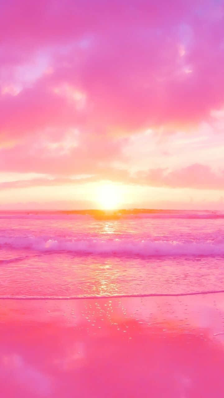 summer pink sunset