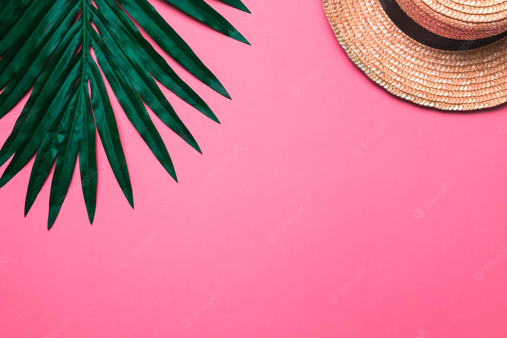 100 Pink Summer Wallpapers  Wallpaperscom
