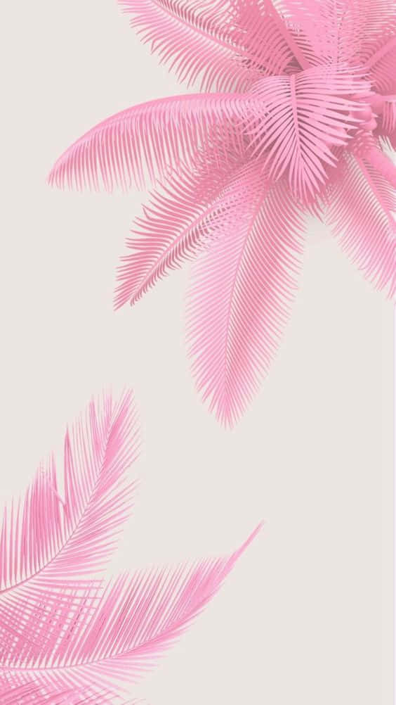 Enjoy a Beautiful Pink Summer Wallpaper