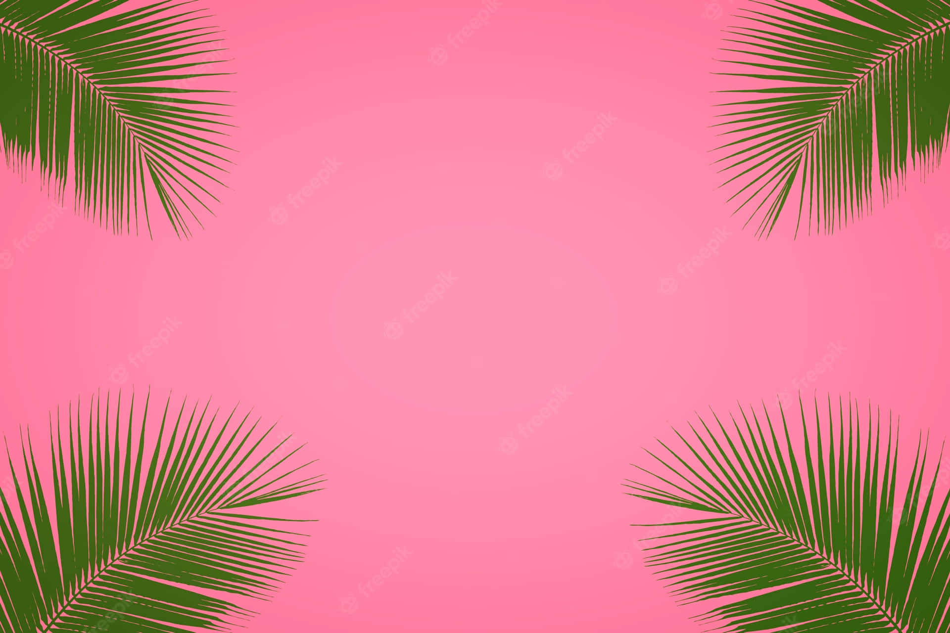 Vær med os på den ultimative pink sommer eventyr! Wallpaper