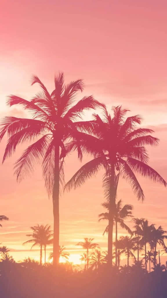 Enjoy a beautiful pink summer day Wallpaper