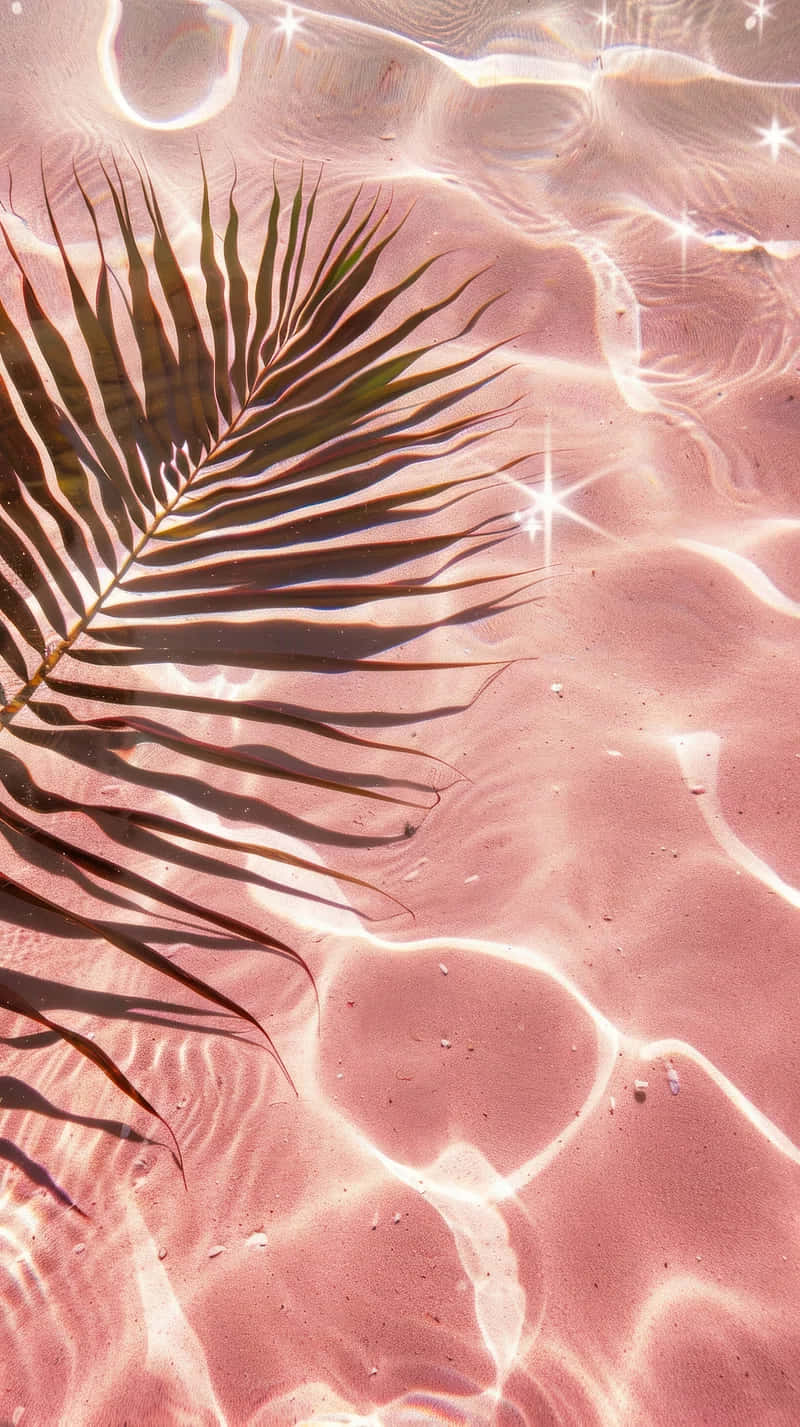 Pink Summer Palm Shadow Water Sparkle Wallpaper
