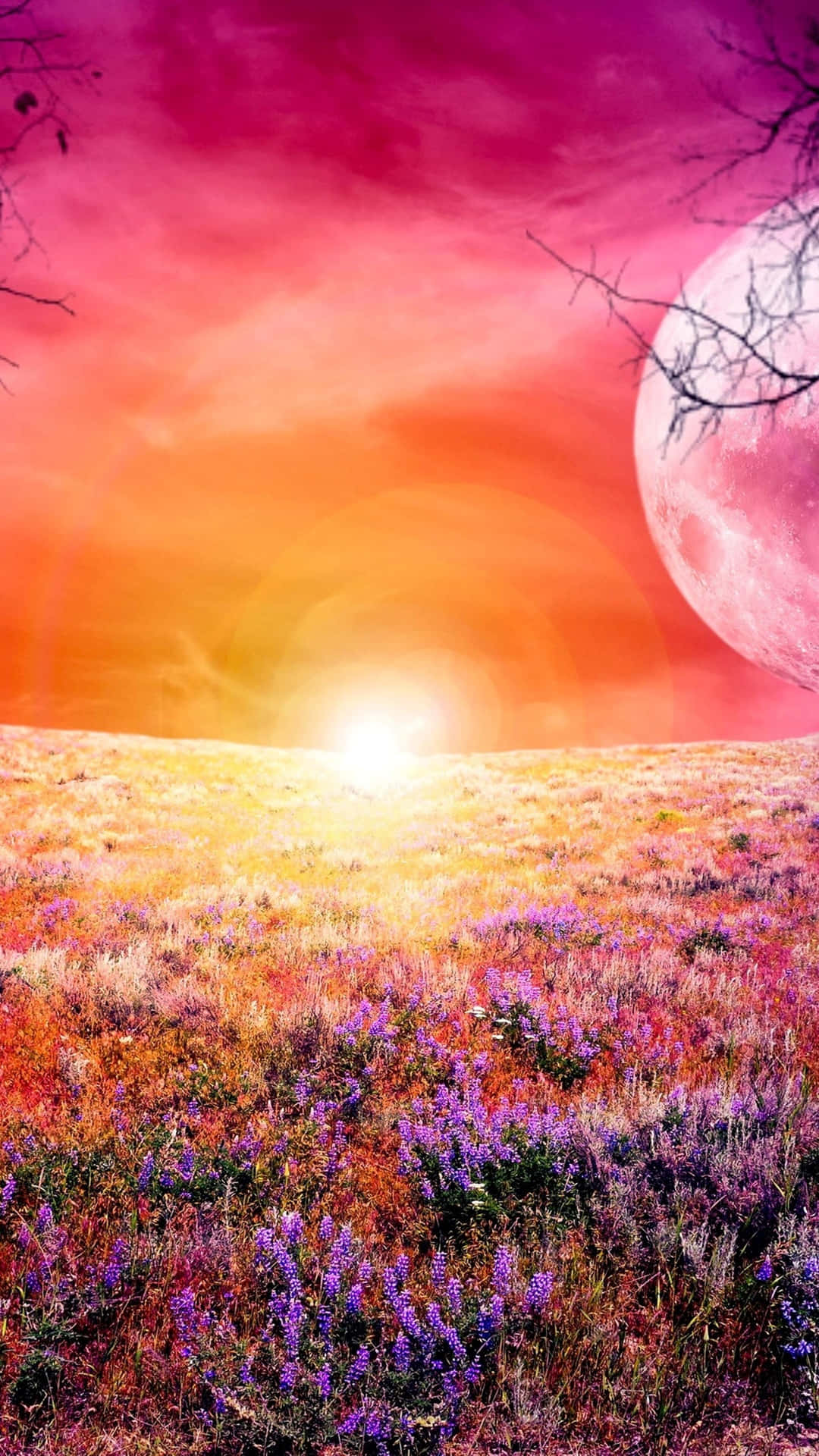 Rosa solnedgang farverig 4k mobil tapet Wallpaper
