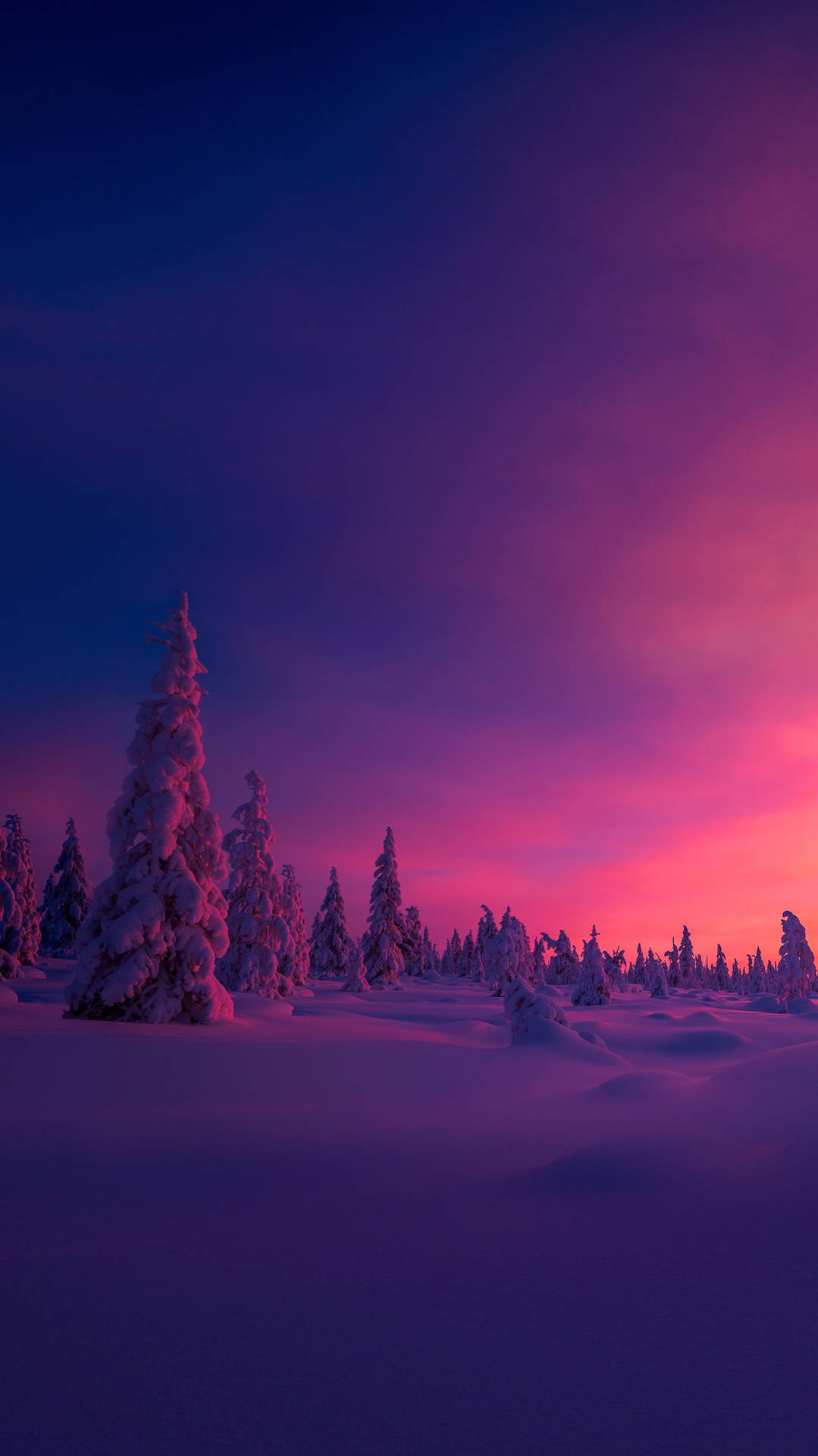 Pink Sunset Hyggelig Vinter Wallpaper