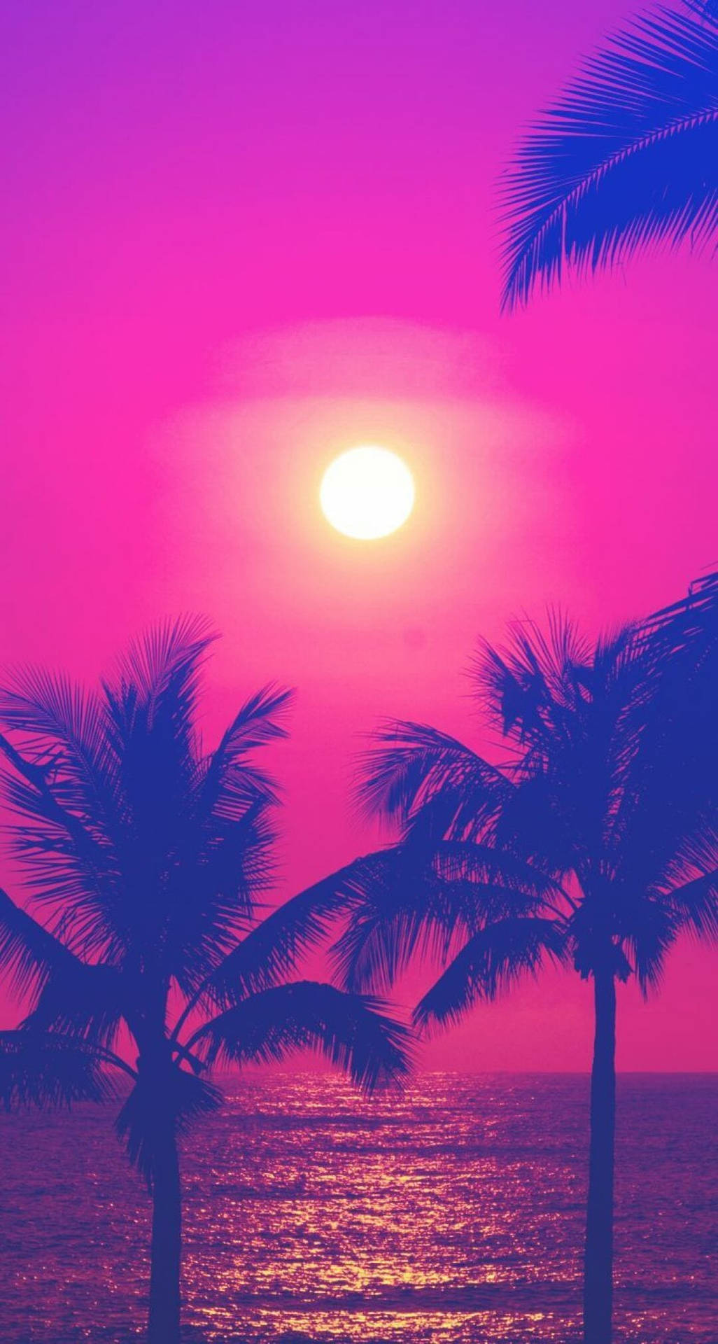 Genießensie Den Perfekt Rosafarbenen Sonnenuntergang. Wallpaper
