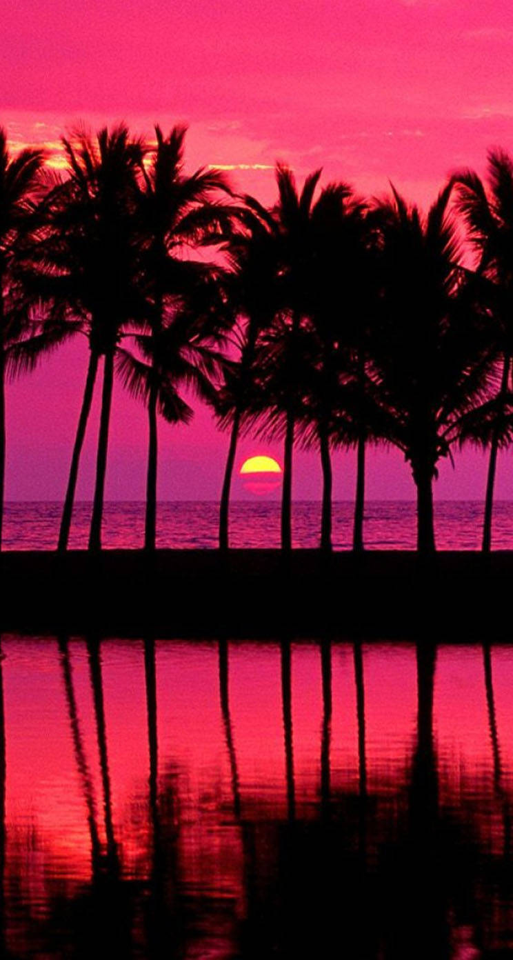 A picture of a beautiful pink sunset with an iPhone in the foreground. Wallpaper