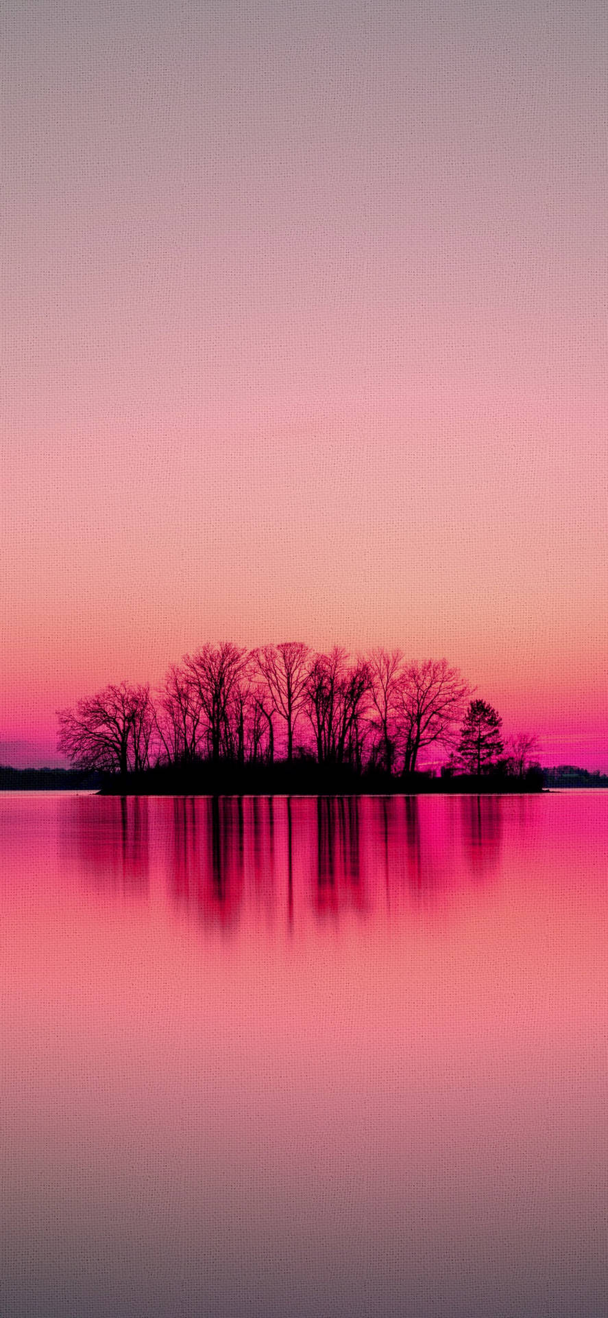 Nyd de fascinerende farver af et rosa solnedgang fra din iPhone. Wallpaper
