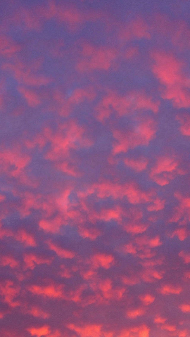 Evas hjerte omfavner et syn af skønhed, som den pink solnedgang kaster sit refleksion på vandet. Wallpaper