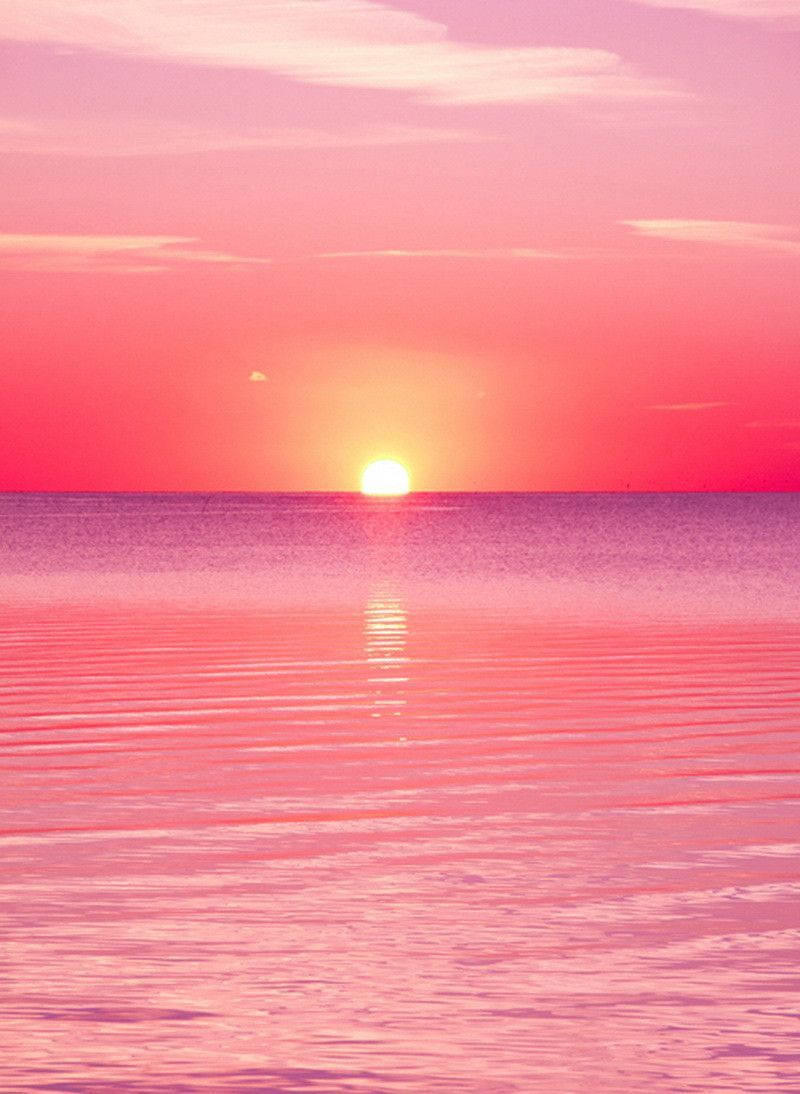 Pink sunset Digital Art Wallpaper 4k Ultra HD ID7316