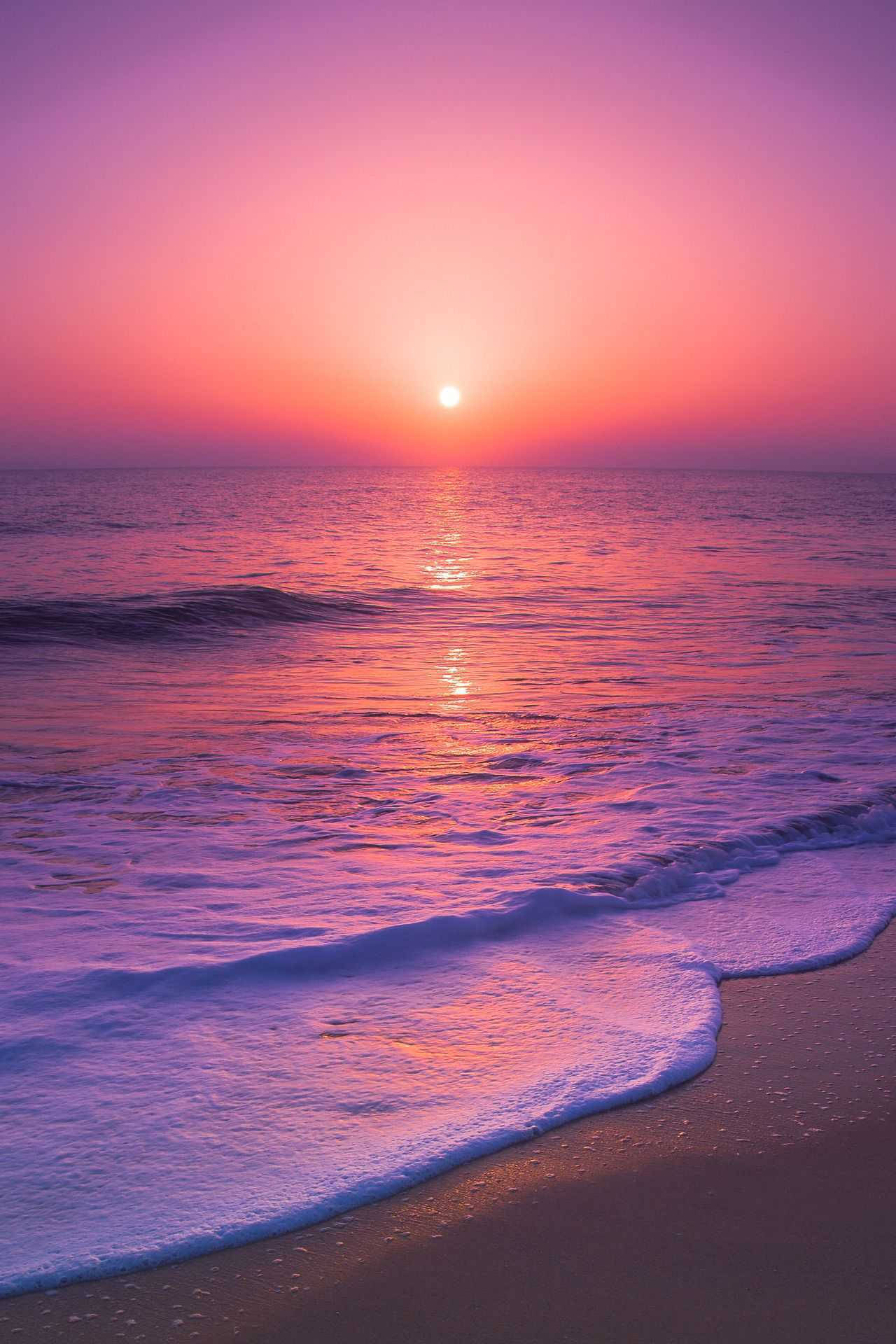 Pink sunset calm sea sandy beach dry tree reflection Wallpaper HD   Wallpapers13com