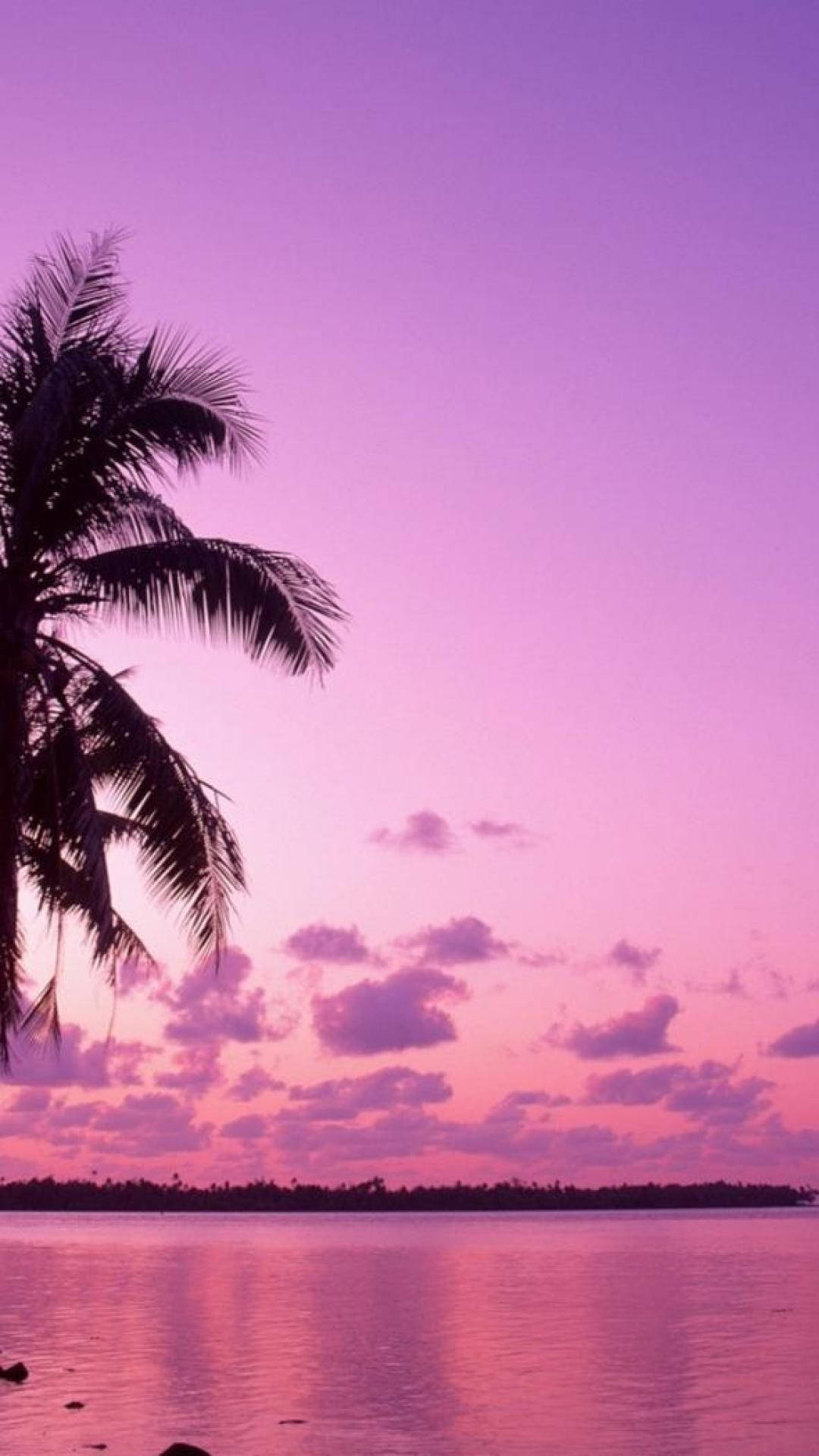 Pink Sunset Background Images HD Pictures and Wallpaper For Free Download   Pngtree