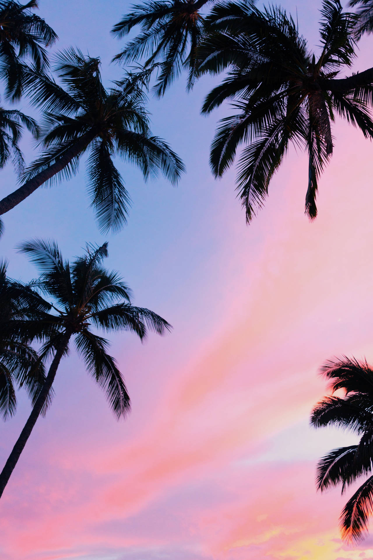 Genießensie Die Schönheit Eines Rosafarbenen Sonnenuntergangs Mit Ihrem Iphone. Wallpaper