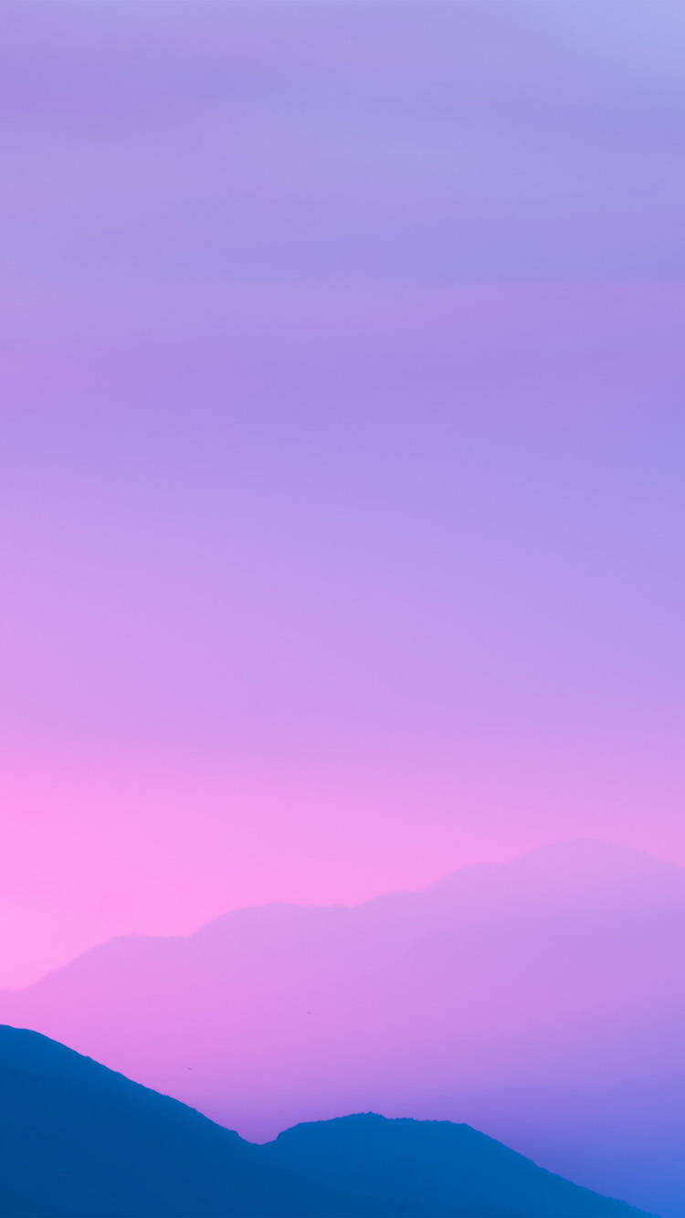 Serenity of the Pink Sunset Wallpaper