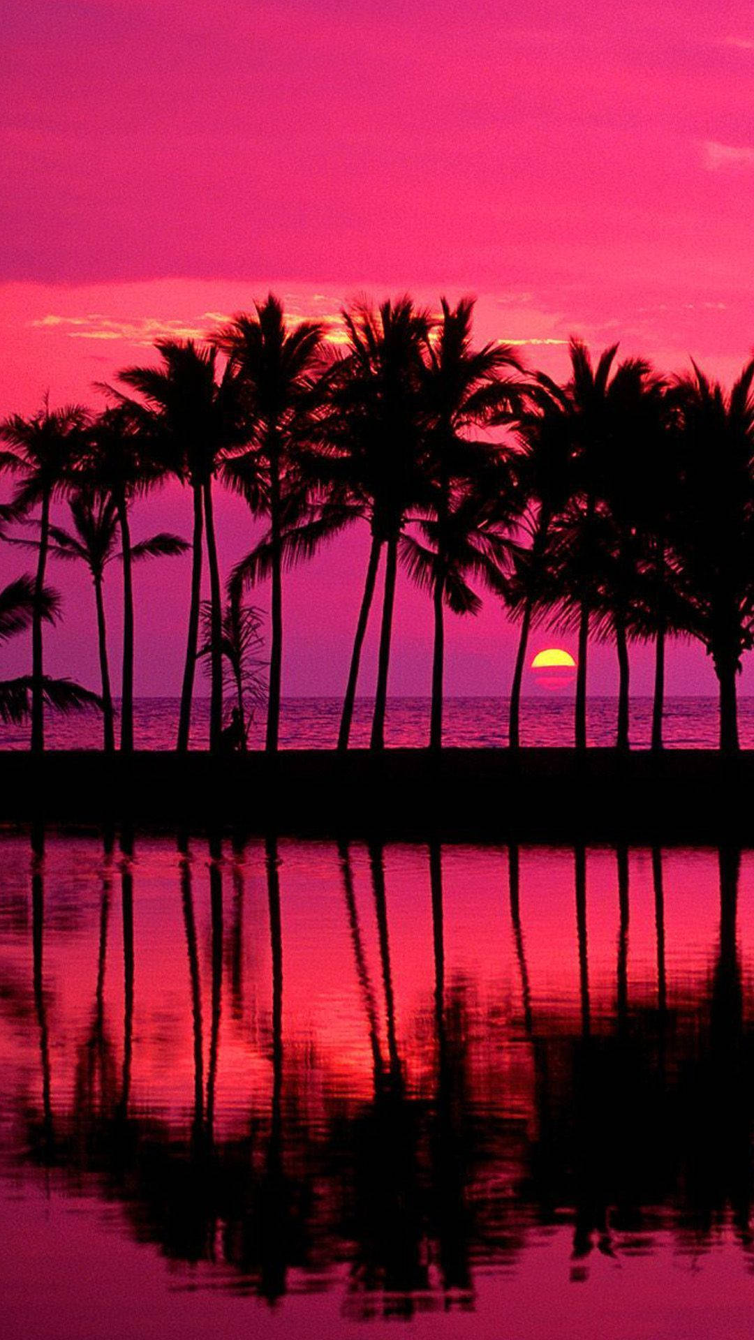 Captivating Pink Sunset Amidst Palm Trees Wallpaper