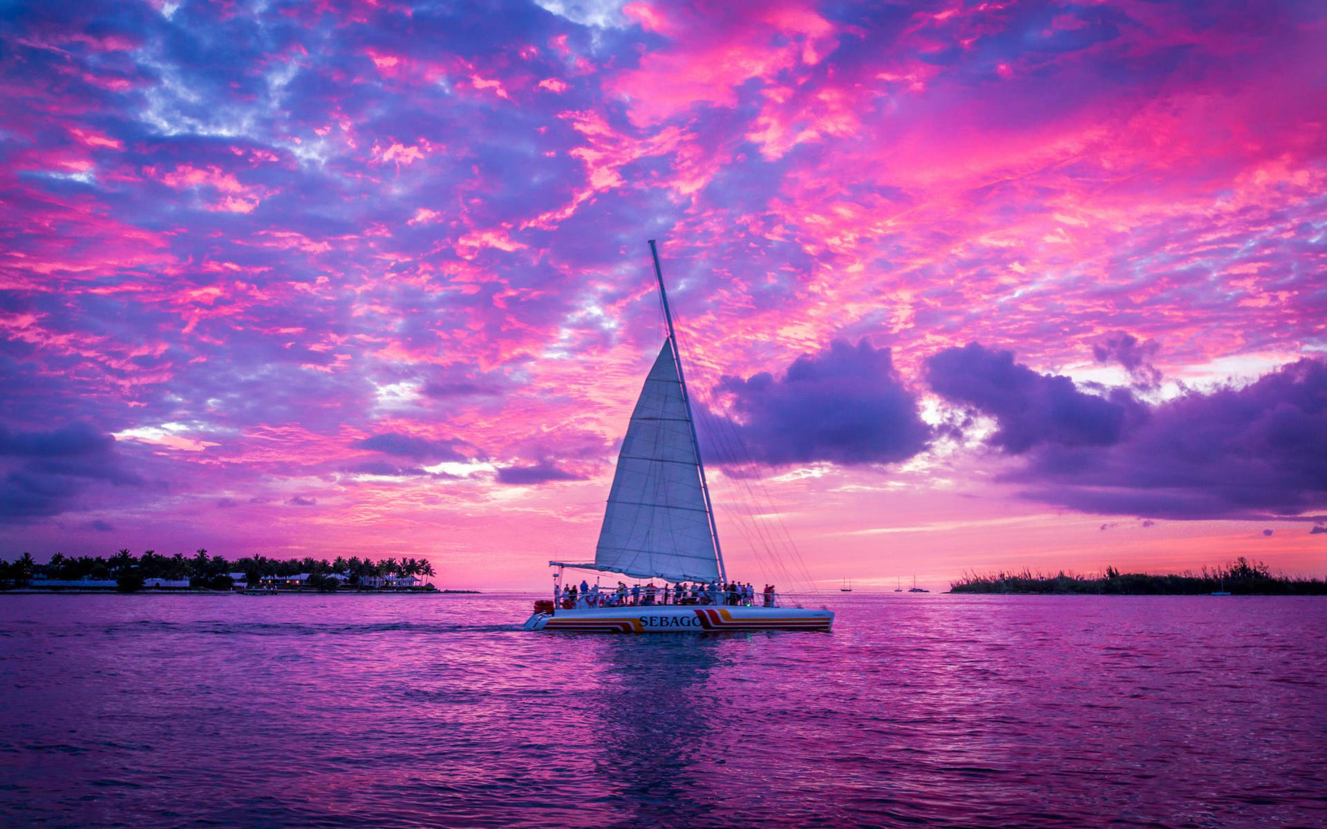 Pink Sunset Sailing Wallpaper