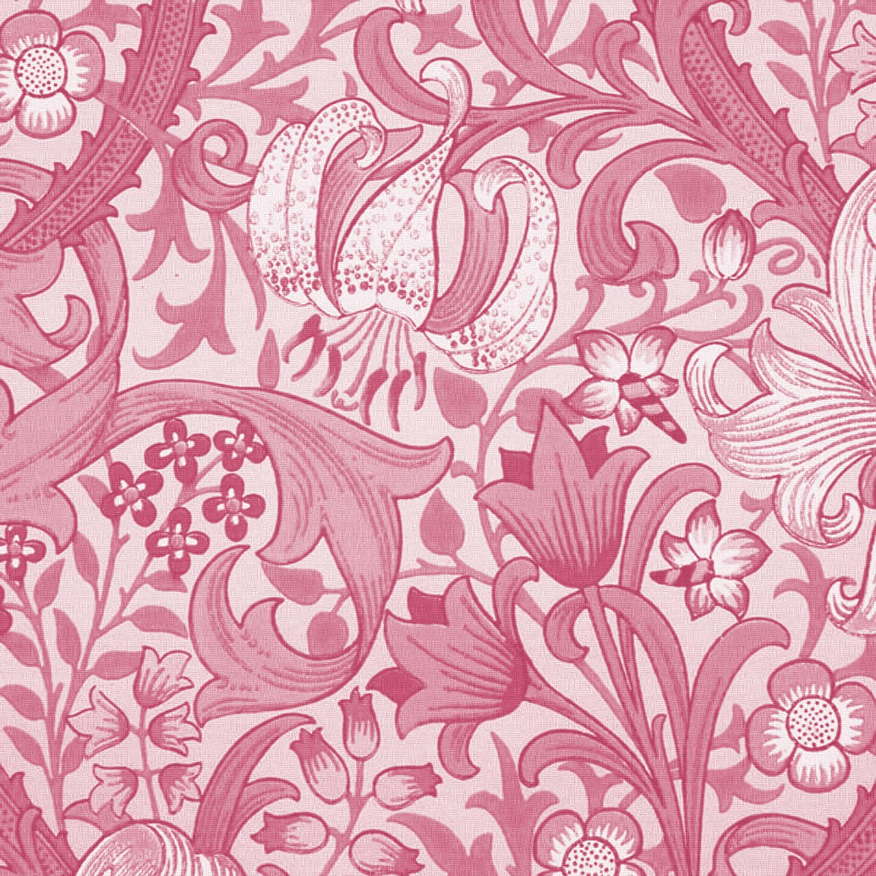 Beautiful abstract pink swirl pattern