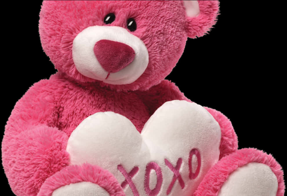 Pink Teddy Bear X O X O PNG