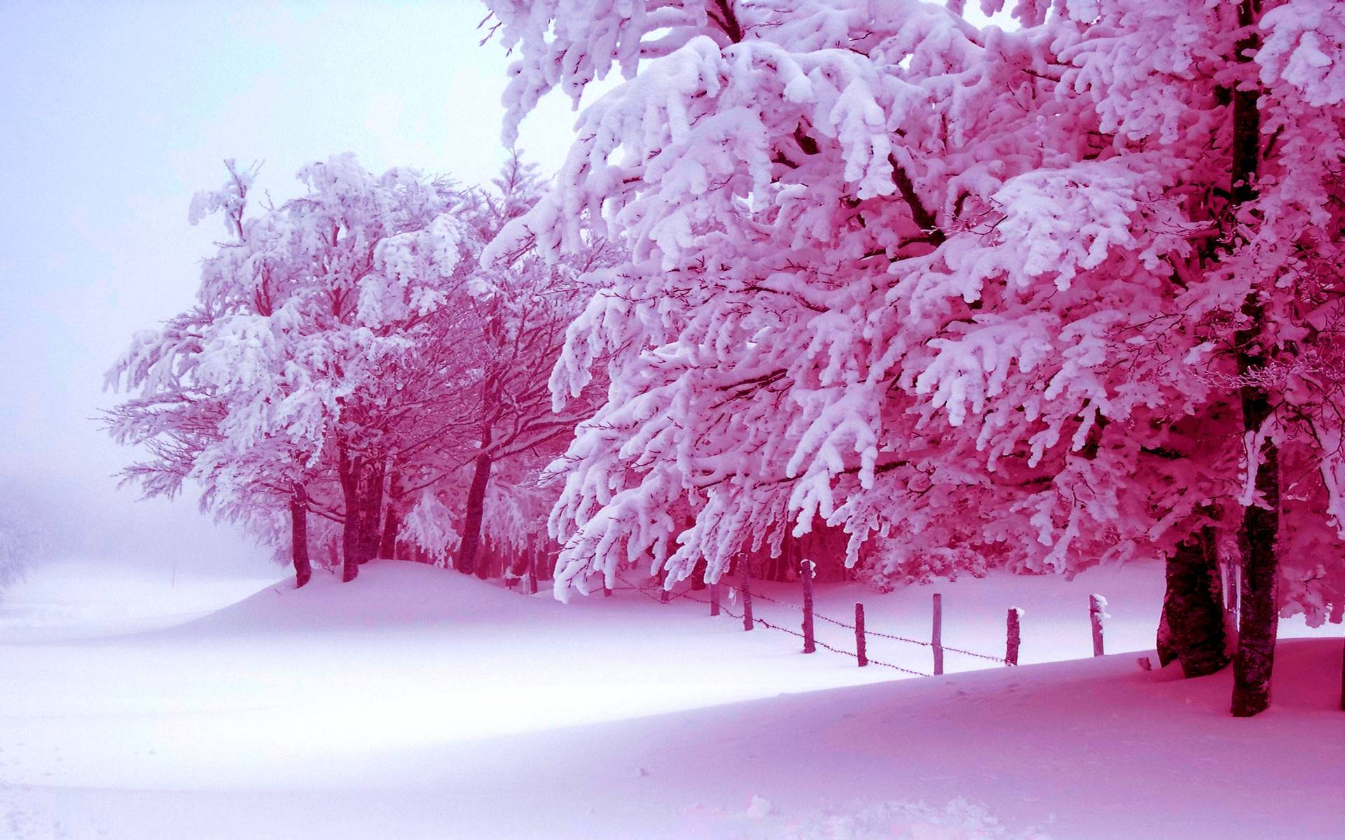 Pink Tree Snow Aesthetic Wallpaper