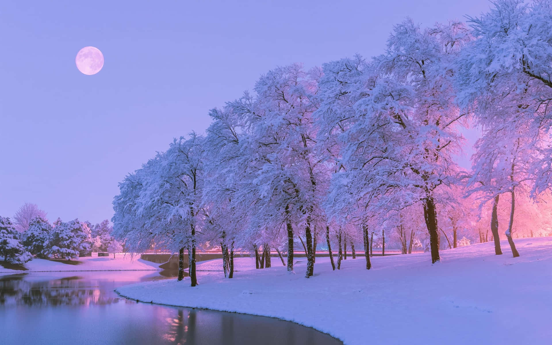 "Vibrant pink trees in a surreal landscape" Wallpaper