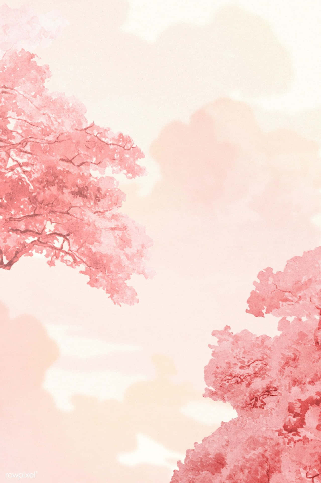 Rosabäume Mit Rosa Ästhetischem Hintergrund Wallpaper
