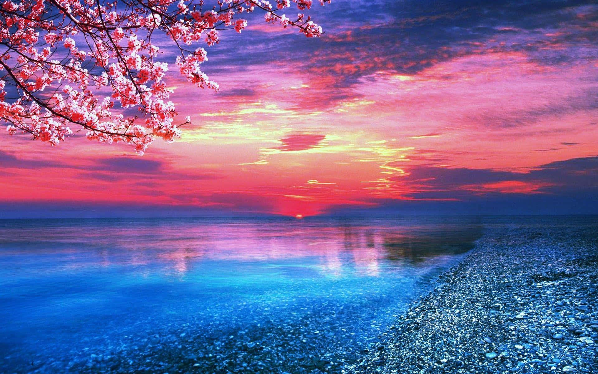 A Pink Sunset Over The Water Wallpaper