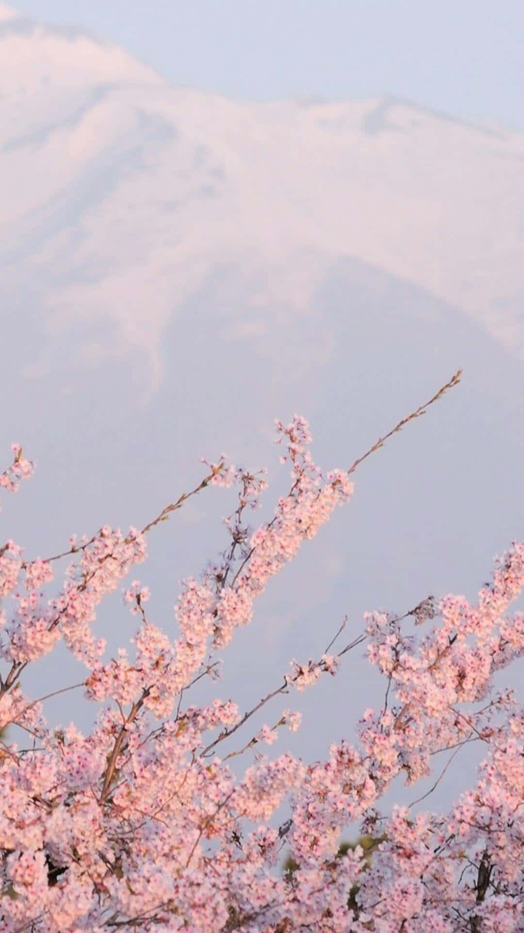 A Pink Tree With Snowy Mountains In The Background Wallpaper