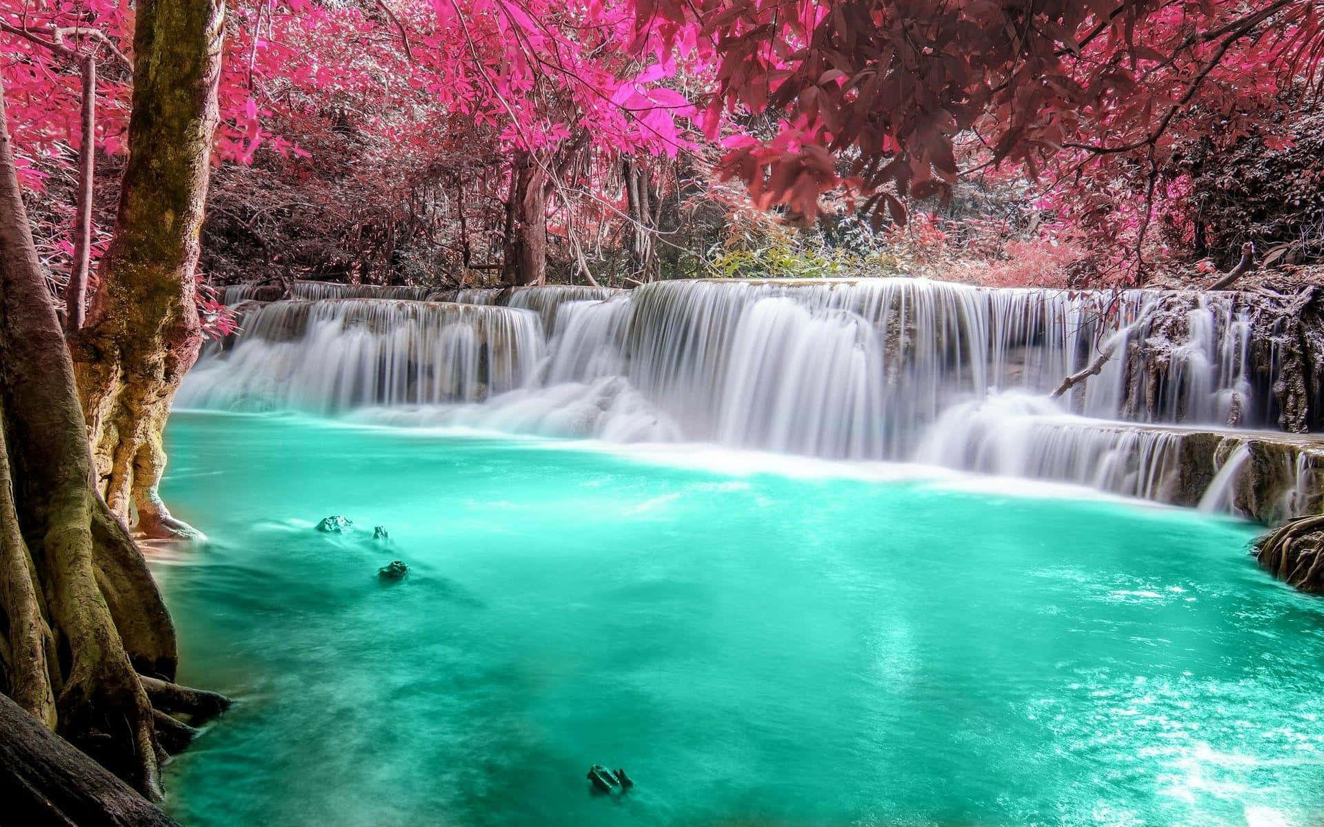 Forest Waterfall With Pink Trees Wallpaper
