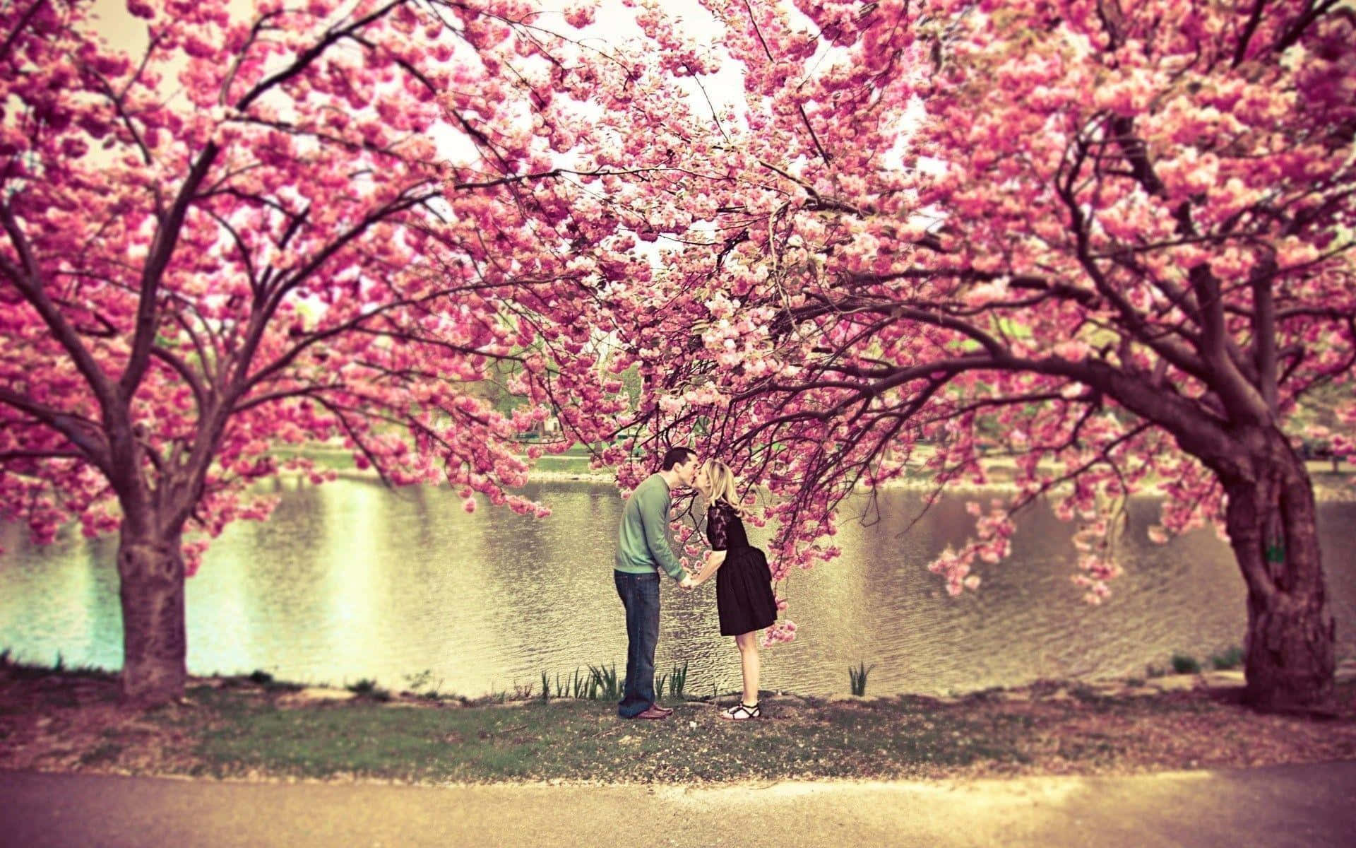 Couple Standing Between Pink Trees Wallpaper