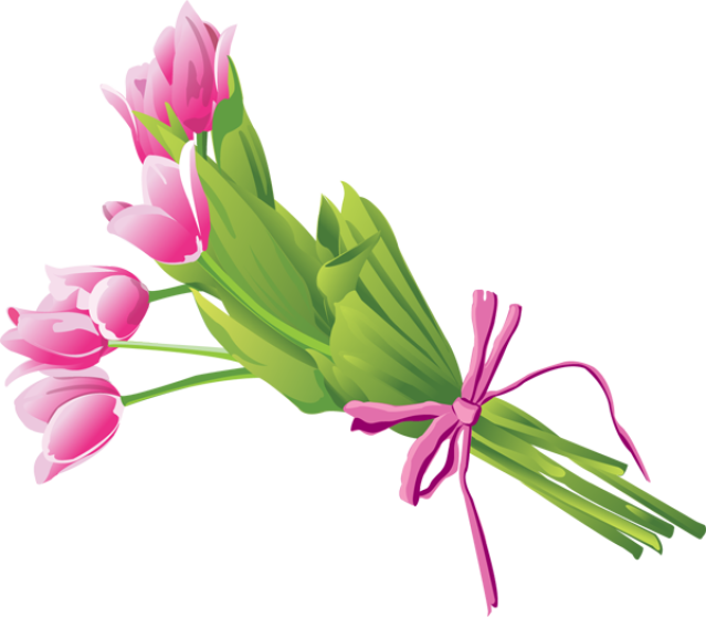Pink Tulip Bouquet Illustration PNG