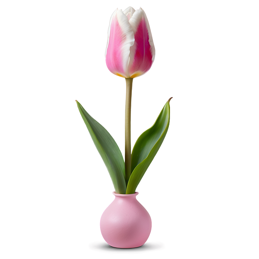 Download Pink Tulip Delight Png 27 | Wallpapers.com