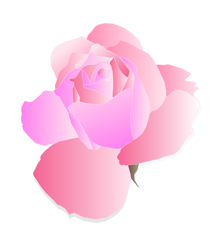 Pink Vector Rose Illustration PNG