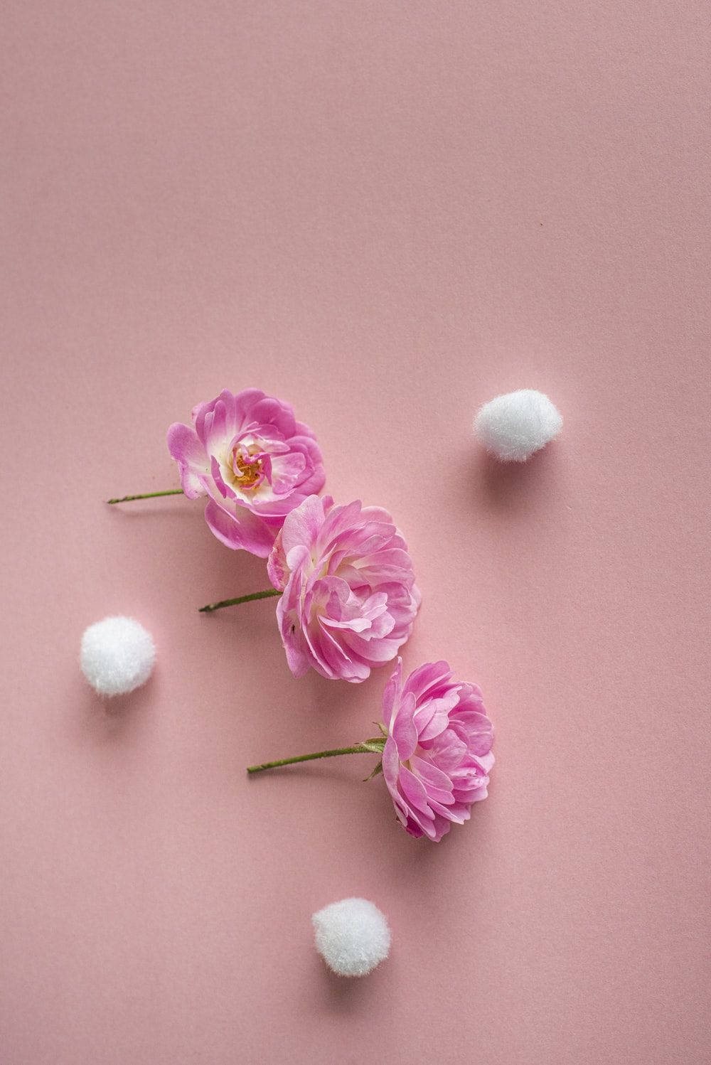 Nydden Smukke Rosa Vintage Æstetik I Denne Fantastiske Baggrundsbillede. Wallpaper