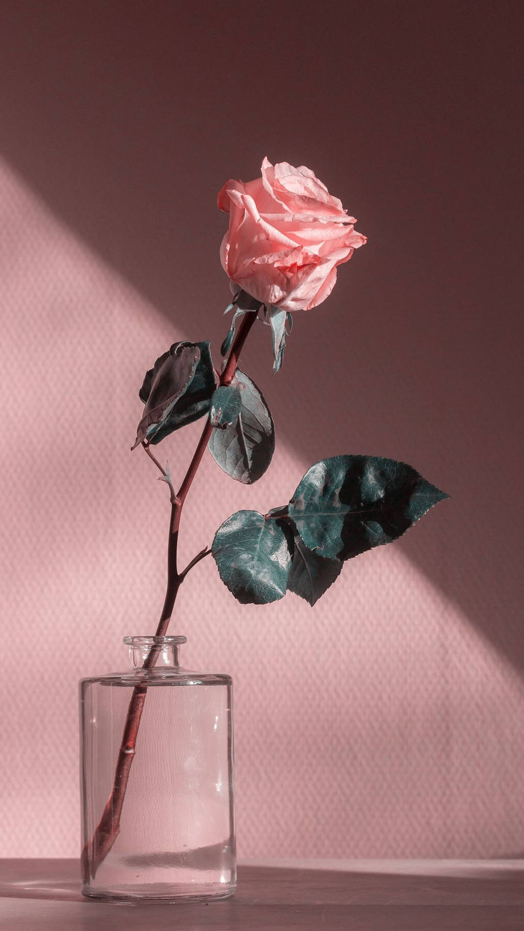 Pink Vintage Aesthetic Rose In A Jar Wallpaper