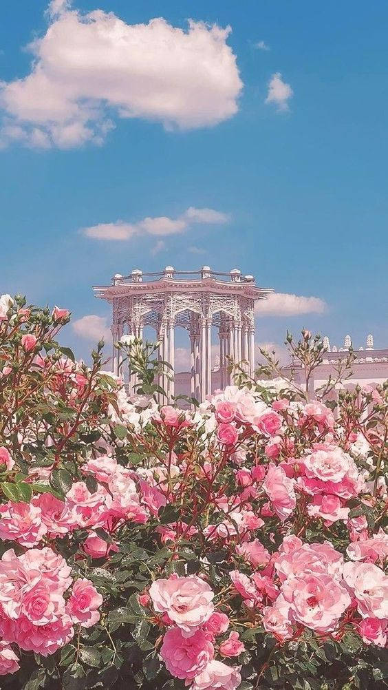 Einrosafarbener Rosengarten Mit Einem Schloss Im Hintergrund Wallpaper