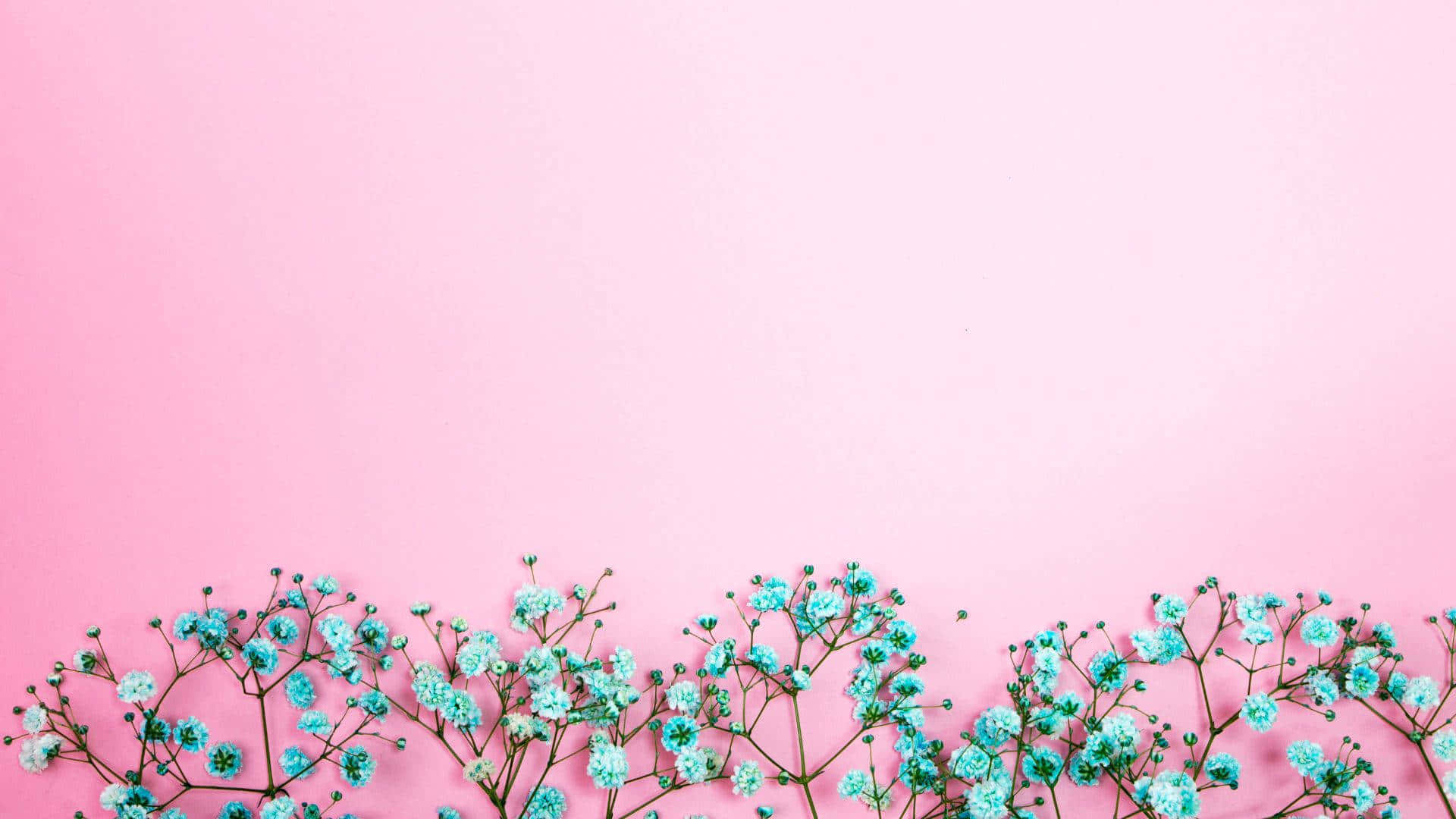 Vibrant Pink Wall Background
